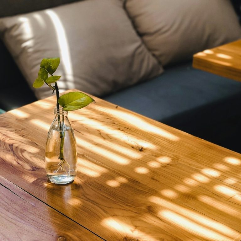 A small vase with a green leaf on a wooden table, bathed in striped sunlight.